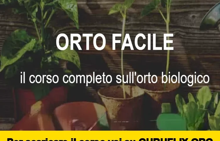 [95% OFF] Orto Facile di Sara Petrucci & Matteo Cereda