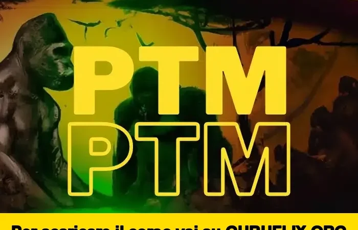 [95% OFF] The Professional Club (PTM) di Gianluca Ambrosi