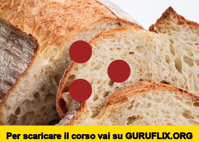 [95% OFF] Il Pane con Lievito Madre e Lievito Misto di Fudemy