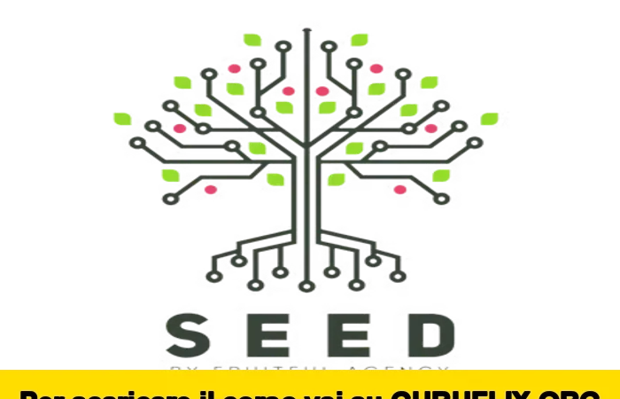 [95% OFF] Seed di Ayoub Habcy