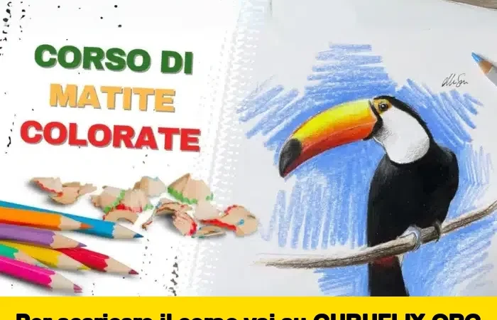 [95% OFF] Corso di Matite Colorate di Mitch Sanna