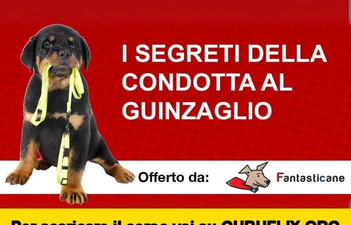 [95% OFF] I Segreti della Condotta al Guinzaglio di Fantasticane