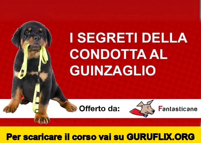 [95% OFF] I Segreti della Condotta al Guinzaglio di Fantasticane