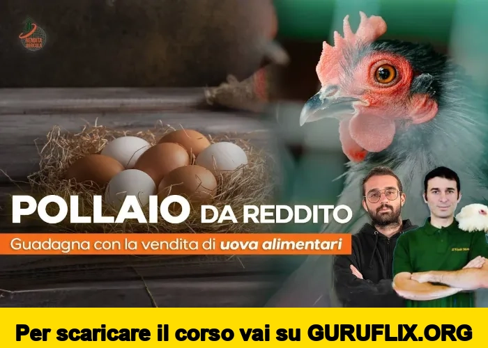 [95% OFF] Pollaio da Reddito di Rendita Agricola