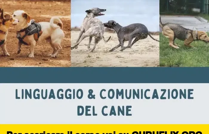 [95% OFF] Linguaggio e Comunicazione del Cane di Educazione Cinofila