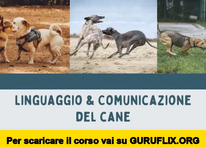 [95% OFF] Linguaggio e Comunicazione del Cane di Educazione Cinofila