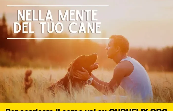 [95% OFF] Nella Mente del tuo Cane di Educazione Cinofila