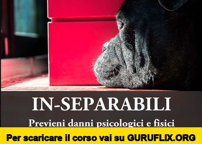 [95% OFF] In-Separabili di Fantasticane