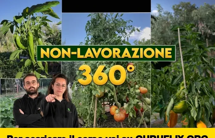 [95% OFF] Orto Eterno: Non Lavorazione 360° di Rendita Agricola