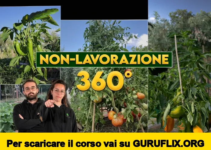[95% OFF] Orto Eterno: Non Lavorazione 360° di Rendita Agricola