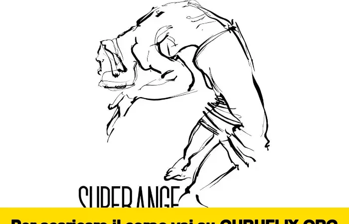 [95% OFF] SupeRange di MoveInside