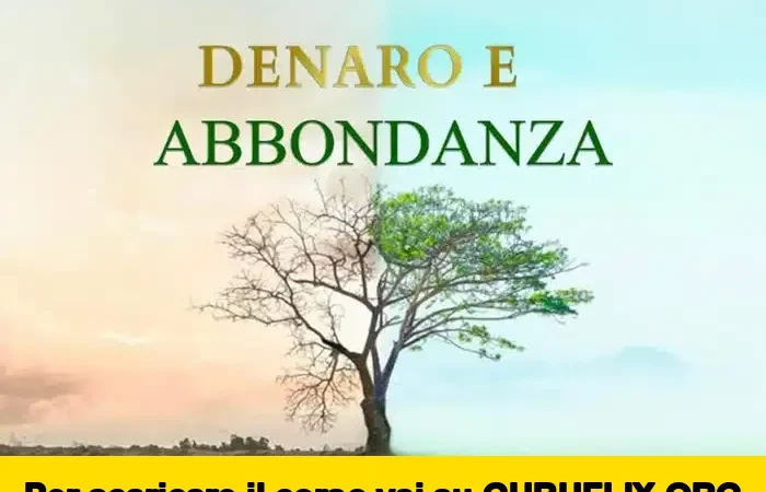 [95% OFF] Denaro e Abbondanza di Metodo Magrin