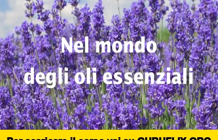 [95% OFF] Nel mondo degli oli essenziali di Bosco di Ogigia