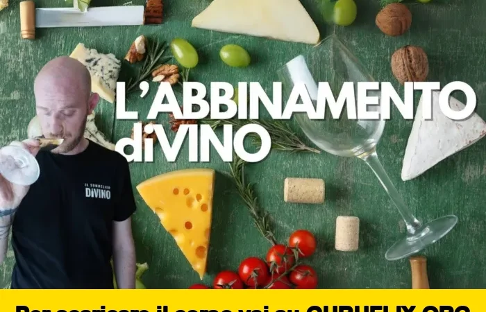 [95% OFF] L’Abbinamento DiVino di Il Sommelier diVino