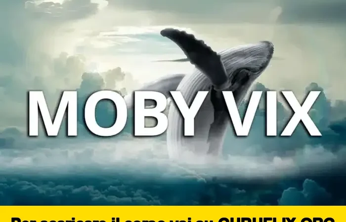 [95% OFF] Moby VIX di BuzWay (Francesco Buzzi)