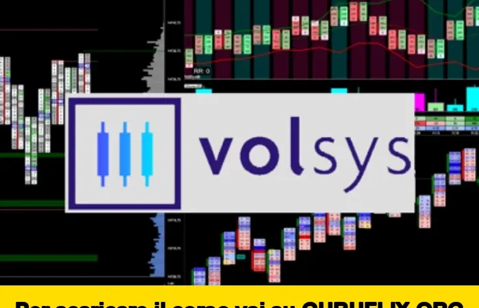 [95% OFF] Abbonamento VolSys® (mensile) di Volumetrica