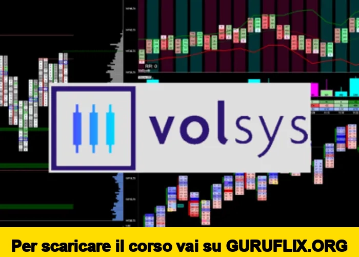 [95% OFF] Abbonamento VolSys® (mensile) di Volumetrica
