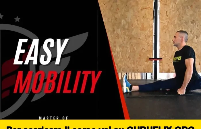 [95% OFF] Easy Mobility di Claudio Negro