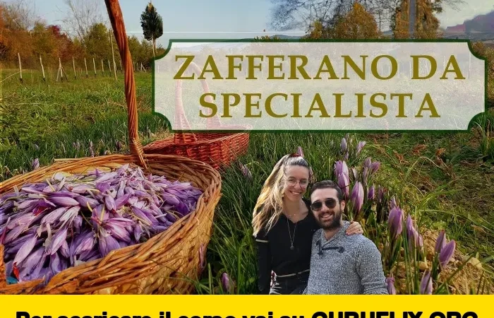 [95% OFF] Zafferano Da Specialista di Rendita Agricola