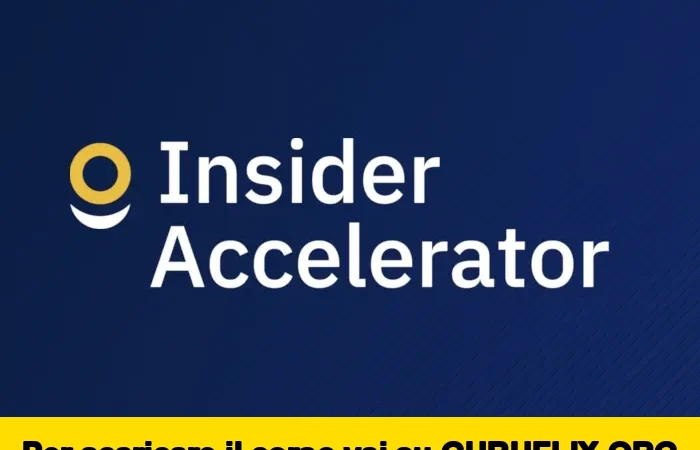 [95% OFF] Insider Accelerator di Plutonis