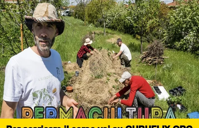 [95% OFF] Permacultura di Bosco di Ogigia