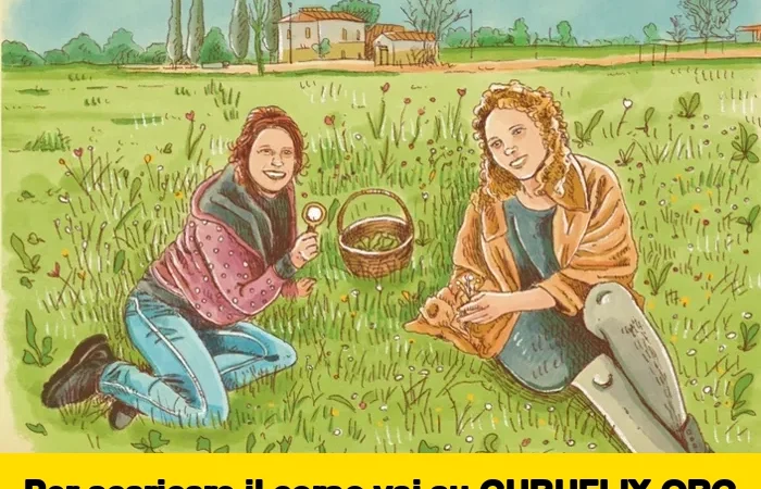 [95% OFF] Erbe Spontanee commestibili di Bosco di Ogigia