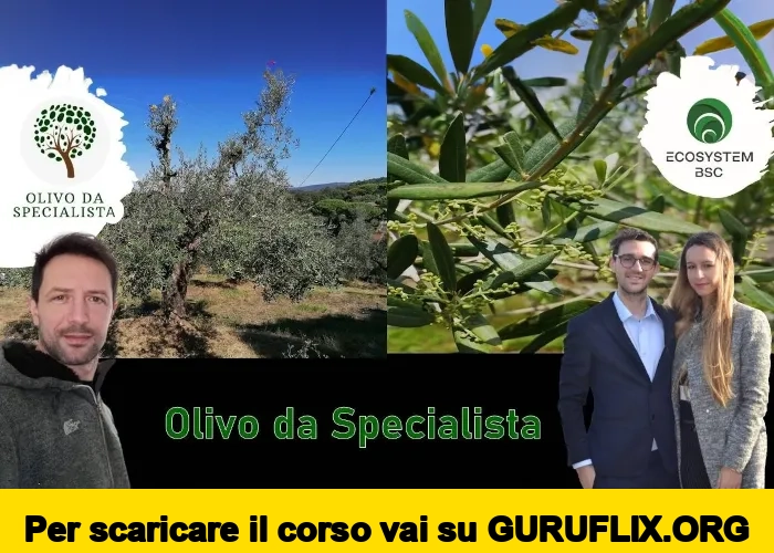 [95% OFF] Olivo Da Specialista di Rendita Agricola