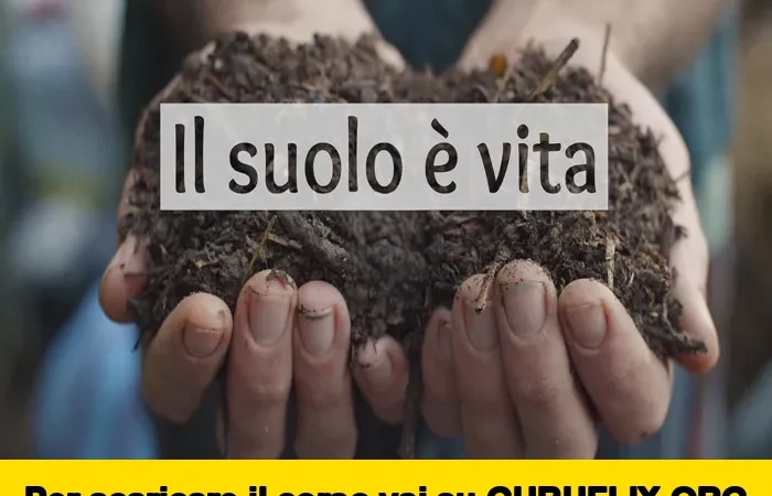 [95% OFF] Il Suolo è Vita di Bosco di Ogigia