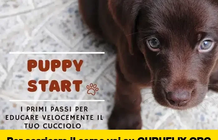 [95% OFF] Puppy Start di Educazione Cinofila
