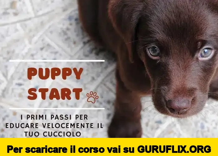 [95% OFF] Puppy Start di Educazione Cinofila